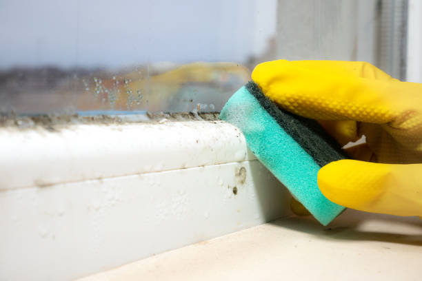 Best Residential Mold Inspection & Testing  in Winfield, WV